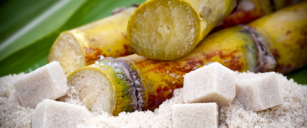 natural sugar suppliers online
