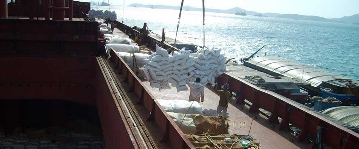 best sugarcane supplier